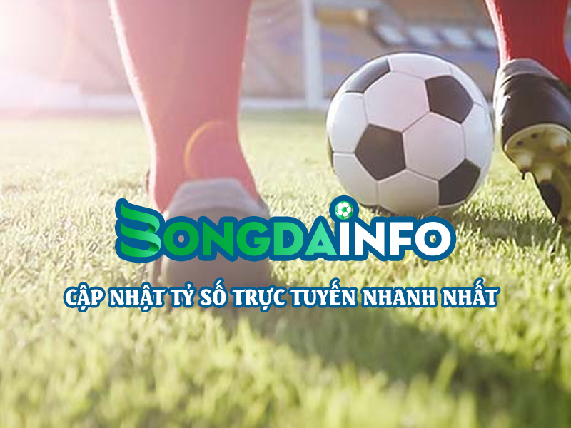 Bongda INFO – Trang web xem tỷ số bóng đá Việt Nam trực tuyến uy tín